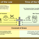 Infographic: The Covenant of Grace looking forward and backward to Christ