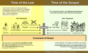 Infographic: The Covenant of Grace looking forward and backward to Christ