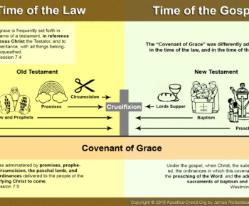 Infographic: The Covenant of Grace looking forward and backward to Christ Infographic: The Covenant of Grace looking forward and backward to Christ
