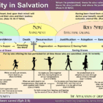 Infographic: The Trinity in Salvation, the Means of Grace, and Saving Graces